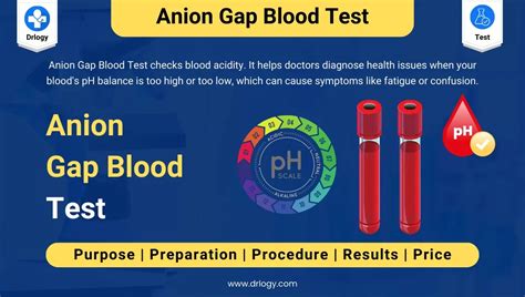 agap blood test low|high bilirubin low anion gap.